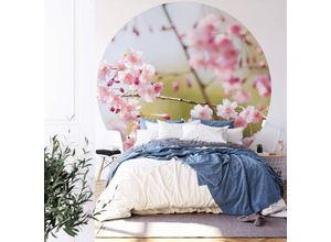 4063129208685 - K&l Wall Art - Runde Fototapete Kirschbaum Blüten Tapete Rosa Vliestapete Schlafzimmer Wandbild ø 140cm - rosa