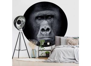 4063129209088 - K&l Wall Art - Runde Fototapete Gorilla Tapete Safari Vliestapete schwarz Wandbild Kinderzimmer ø 140cm - schwarz