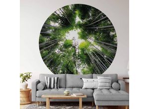 4063129209217 - K&l Wall Art - Runde Fototapete Hugonnard Wald Tapete Baumkronen Vliestapete Wandbild ø 140cm - grün