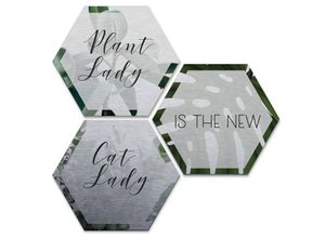 4063129209699 - K&l Wall Art - Hexagon Alu-Dibond Poster Silber Metalloptik Plantlady Catlady Dschungel Pflanzen Wandbild 3er Set je 25x22cm - silber