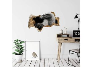 4063129215843 - K&l Wall Art - 3D Wandtattoo Wohnzimmer Meermann Safari Tiere Geier schwarz weiß Fotografie Mauerdurchbruch selbstklebend 120x73cm - schwarz