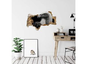 4063129215867 - 3D Wandtattoo Wohnzimmer Meermann Safari Tiere Geier schwarz weiß Fotografie Mauerdurchbruch selbstklebend 100x61cm - schwarz