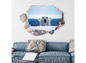 4063129216048 - K&l Wall Art - 3D Wandtattoo Wohnzimmer National Geographic Nordpol Tiere Frecher Baby Eisbär Mauerdurchbruch selbstklebend 40x27cm - blau