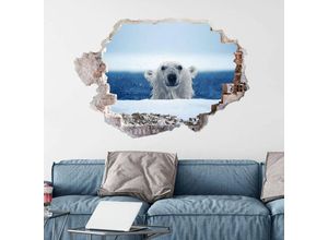 4063129216055 - K&l Wall Art - 3D Wandtattoo Wohnzimmer National Geographic Nordpol Tiere Frecher Baby Eisbär Mauerdurchbruch selbstklebend 80x59cm - blau