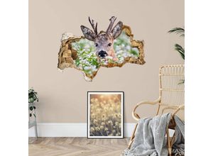 4063129216390 - 3D Wandtattoo Wohnzimmer van Duijn Reh Waldtiere Dammwild im Frühling Mauerdurchbruch selbstklebend 80x60cm - braun