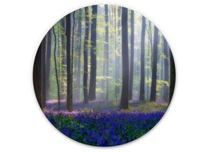 4063129217441 - K&l Wall Art - Alu-Dibond-Poster Rund Metalloptik Wandbild Glockenblumen Wald Waldlichtung Natur Popan ø 45cm - grün