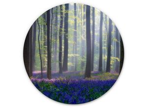 4063129217458 - K&l Wall Art - Alu-Dibond-Poster Rund Metalloptik Wandbild Glockenblumen Wald Waldlichtung Natur Popan ø 30cm - grün