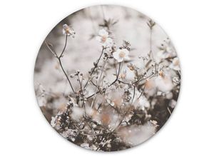 4063129217687 - K&l Wall Art - Alu-Dibond-Poster Rund Metalloptik Wandbild Wilde Blumen Blüten Herbst Vintage Deko Annie ø 30cm - creme