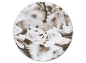 4063129222117 - K&l Wall Art - Alu-Dibond-Poster Rund Metalloptik Wandbild Jasmin Blume Vintage Fotografie Deko floral Annie ø 30cm - weiß