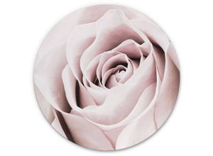 4063129222308 - Alu-Dibond-Poster Rund Metalloptik Wandbild Edelrose Rosa Rose elegant Vintage Deko 1X Studio ø 100cm - rosa