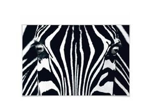 4063129225101 - Wizard Genius - xxl Poster Safari Black & White Zebra Pferd Wandposter Kinderzimmer 175x115cm - schwarz