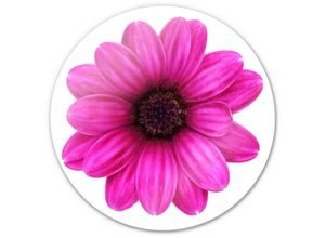 4063129241200 - K&l Wall Art - bedrucktes Sicherheitsglas Wandbild Rund Glasbild Gerbera pink Blume Blüte Sommer ø 50cm - pink