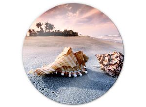 4063129242825 - K&l Wall Art - bedrucktes Sicherheitsglas Wandbild Rund Glasbild Maritim Badezimmer Strand Muschel ø 50cm - bunt