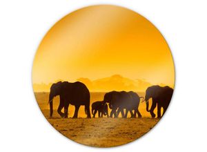 4063129244010 - K&l Wall Art - bedrucktes Sicherheitsglas Wandbild Rund Glasbild Elefanten Safari Afrika Silhouette ø 50cm - gelb