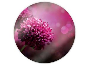 4063129244454 - K&l Wall Art - bedrucktes Sicherheitsglas Wandbild Rund Glasbild Pink Fotokunst floral Dahlie Blume ø 50cm - pink