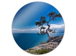 4063129246113 - K&l Wall Art - bedrucktes Sicherheitsglas Wandbild Rund Glasbild Maritime Baum Badezimmer See ø 50cm - blau