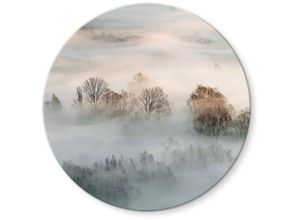 4063129247950 - K&l Wall Art - bedrucktes Sicherheitsglas Wandbild Rund Glasbild Galimberti Winter Nebel Fotografie ø 50cm - grau