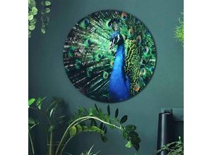 4063129249824 - K&l Wall Art - bedrucktes Sicherheitsglas Wandbild Rund Glasbild Pfau Vogel eleganter Peacock ø 50cm - grün