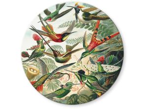 4063129249893 - K&l Wall Art - bedrucktes Sicherheitsglas Wandbild Rund Glasbild Haeckel tropischer Regenwald Kolibris ø 50cm - grün