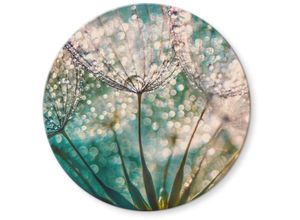 4063129251490 - K&l Wall Art - bedrucktes Sicherheitsglas Wandbild Rund Glasbild Delgado Fotografie funkelnde Pusteblume ø 50cm - blau