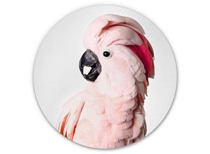 4063129254279 - K&l Wall Art - Alu-Dibond-Poster Rund Metalloptik Wandbild Tropisch Kakadu Jungle Vogel Retro Foto Sisi&Seb ø 20cm - rosa