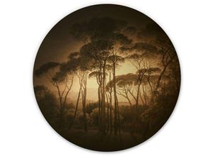 4063129254446 - Alu-Dibond-Poster Rund Metalloptik Wandbild Schirmkiefern Kiefern Wald Vintage Gold Sepia ø 45cm - schwarz