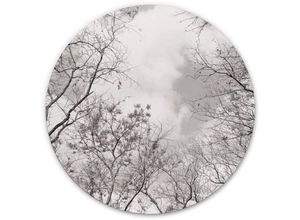 4063129255047 - K&l Wall Art - Alu-Dibond-Poster Rund Metalloptik Wandbild Baumkronen Himmel Winter Wald Traum Vintage ø 45cm - weiß