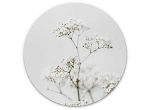 4063129256471 - K&l Wall Art - Alu-Dibond-Poster Rund Metalloptik Wandbild Natur Fotografie Wiesenkerbel Wilde Blume Annie ø 30cm - weiß