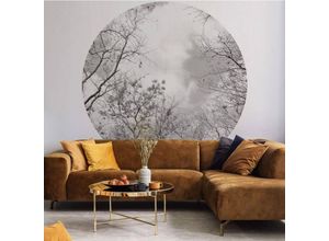 4063129256679 - K&l Wall Art - Runde Fototapete Baumkronen im Himmel Tapete Natur Vliestapete Wandbild ø 140cm - schwarz