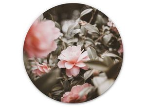 4063129256839 - K&l Wall Art - Alu-Dibond-Poster Rund Metalloptik Wandbild Rosenblüte Rosa Wildblumen Vintage Deko Annie ø 30cm - grün