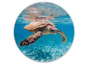 4063129257324 - K&l Wall Art - Alu-Dibond-Poster Rund Metalloptik Wandbild Schildkröte auf Reisen Ozean Fische Badezimmer ø 30cm - blau