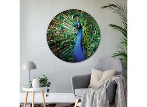 4063129257539 - K&l Wall Art - Alu-Dibond-Poster Rund Metalloptik Wandbild Pfau König Vogel Pfauenfeder Natur Fotografie ø 45cm - grün