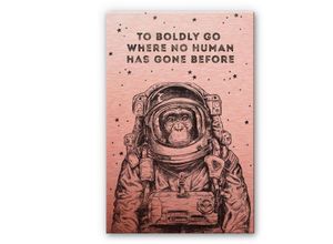 4063129258048 - Alu-Dibond-Poster mutiger Astronaut Affe im All Kupfer Weltraum Mission Metalloptik Wandbild 40x60cm - rosa