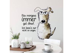 4063129308743 - K&l Wall Art - Wandtattoo Hagenmeyer Lebensfreude Küche Hund Bin morgens immer gut drauf Deko Wandbild selbstklebend 50x50cm - schwarz