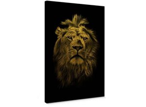 4063129311910 - Leinwandbild Vintage Goldeffekt Wandbild Fichtenholz Keilrahmen Löwe Portrait Safari Waldtiere Shabby Chic Gold 40x60cm - schwarz