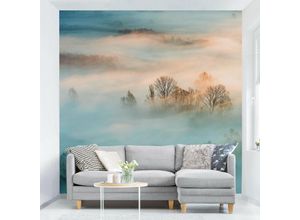4063307124073 - Vliestapete - Nebel bei Sonnenaufgang - Fototapete Quadrat Größe HxB 336cm x 336cm