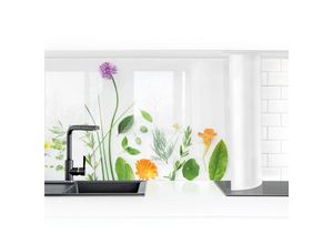 4063307180109 - Micasia - Küchenrückwand - Kräuter und Blüten i Größe HxB 50x50cm Material Smart