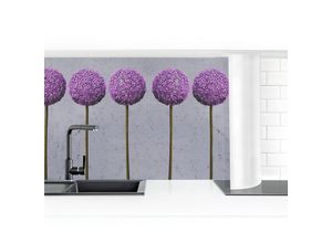 4063307183940 - Micasia - Küchenrückwand - Allium Kugel-Blüten i Größe HxB 50x50cm Material Smart