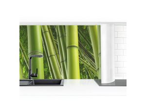 4063307193567 - Micasia - Küchenrückwand - Bamboo Trees No1 Größe HxB 50x150cm Material Smart