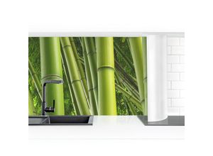 4063307193628 - Micasia - Küchenrückwand - Bamboo Trees No1 Größe HxB 50x50cm Material Premium