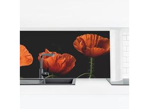 4063307748101 - Micasia - Küchenrückwand - Mohnblumen um Mitternacht Größe HxB 40cm x 140cm Material Smart 4063307748101 - Micasia - Küchenrückwand - Mohnblumen um Mitternacht Größe HxB 40cm x 140cm Material Smart