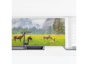 4063307748941 - Micasia - Küchenrückwand - Rehe in den Bergen Größe HxB 40cm x 140cm Material Smart