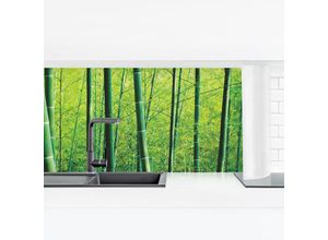 4063307761407 - Micasia - Küchenrückwand - Bambuswald Größe HxB 40x140cm Material Smart