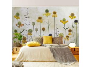 4063307943766 - Fototapete - Zarte Helenium Blüten - Fototapete Breit Größe HxB 225cm x 336cm 4063307943766 - Fototapete - Zarte Helenium Blüten - Fototapete Breit Größe HxB 225cm x 336cm