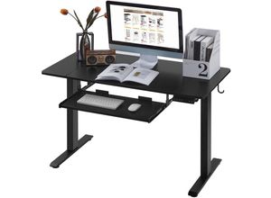 4063425174646 - Woltu - Schreibtisch 120x60cm Höhenverstellbarer Elektrisch Stehschreibtisch Ergonomischer Computertisch Schreibtisch mit Tastaturauszug und