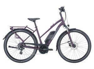 4063518257935 - PEGASUS Solero E8 Plus - 28 Zoll 500Wh 8K Trapez - deep berry