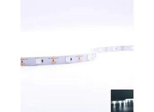 4063592009345 - Strip mit Linse 12V LED Streifen 5M 18W m 28LED m 10mm - Lichtfarbe Kaltweiß 60