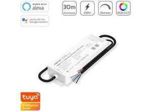 4063592024898 - MIBoxer RGB+CCT Smart WiFi Controller Netzteil 150W Tuya Alexa Google Steuerung 