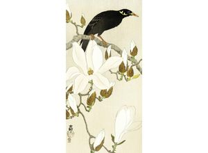 4063909076572 - - Myna On Magnolia Branch Kunstdruck Ohara Koson Papier 250 gr matt