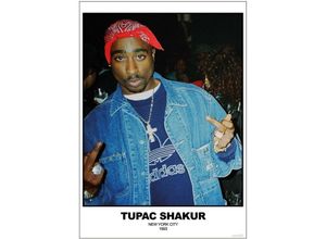 4063909315732 - - Tupac Shakur Poster New York City 1993